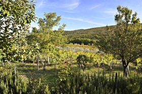 Il Casolare di Libbiano