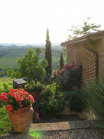Il Rosolaccio