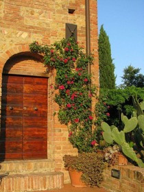 Il Rosolaccio