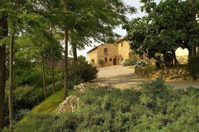 Il Rosolaccio