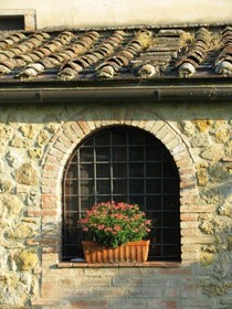Il Rosolaccio