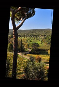 La Fornace di Racciano