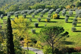 La Fornace di Racciano