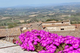 Locanda la Mandragola