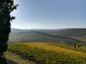 Poderi Arcangelo