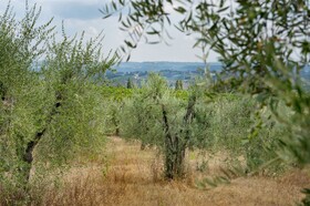 Villasanpaolo Wellness & Spa Hotel San Gimignano