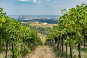 Villasanpaolo Wellness & Spa Hotel San Gimignano