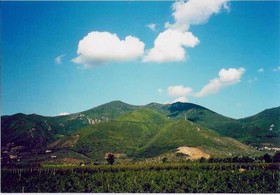 Agriturismo La Pisana