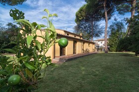 Pisa Holidays Bed & Breakfast