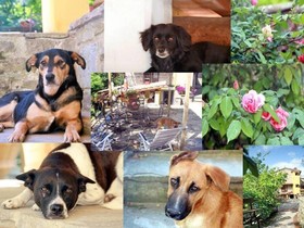 Bed And Breakfast Podere Cerreta