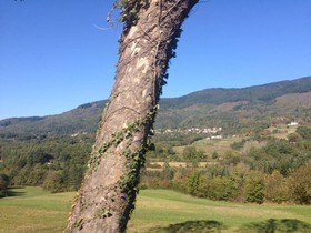 Il Cacciatore