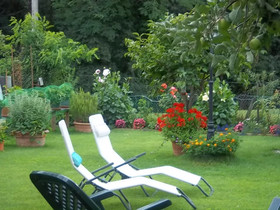 Casa Petunia