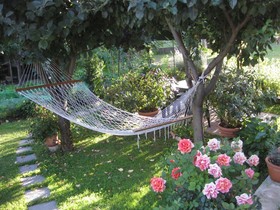 Casa Petunia