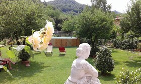 Casa Petunia
