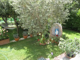 Casa Petunia