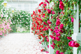 Relais Sassa Al Sole