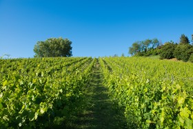 Relais Sassa Al Sole