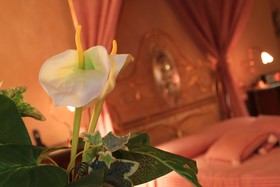 Palazzo del Capitano Wellness e Relais