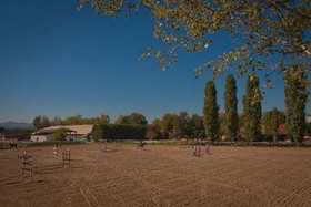 Agriturismo Podere Violino
