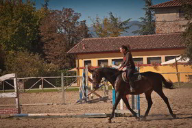 Agriturismo Podere Violino
