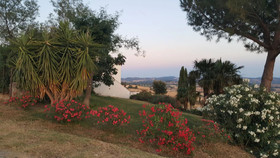 Aia della Colonna