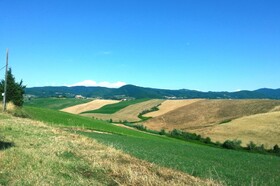 Giuly Rosselmini Residence