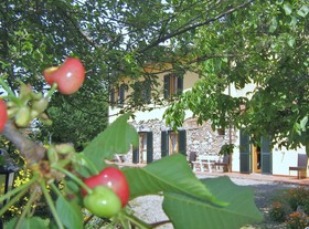 Il Gelso