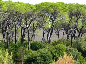 San Giorgio Country Residence