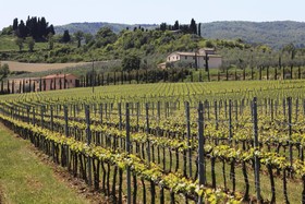 Villa Le Buche Wine Resort & Spa
