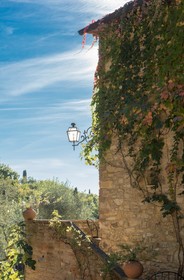 Tenuta la Bandita