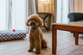 Terme di Saturnia Natural Spa & Golf Resort