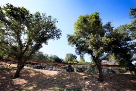 Antico Casale di Scansano