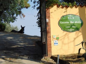 B&B Locanda del Grillo