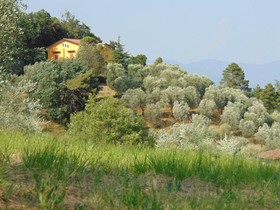 B&B Locanda del Grillo