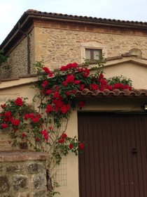 Agriturismo Podere La Selva