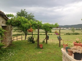 Agriturismo Podere La Selva