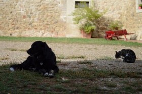 Agriturismo Podere La Selva