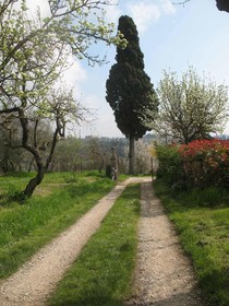 Agriturismo La Torretta