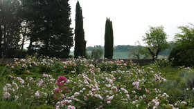 Ca' Bianca