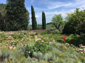 Ca' Bianca