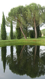 Ca' Bianca