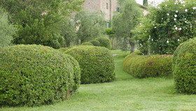 Ca' Bianca