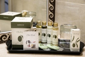 Hotel Executive Siena