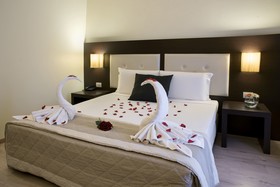 Hotel Executive Siena