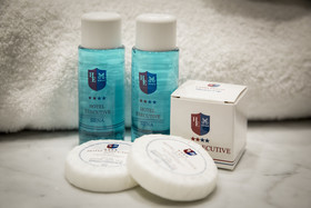 Hotel Executive Siena