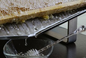 Hotel Executive Siena