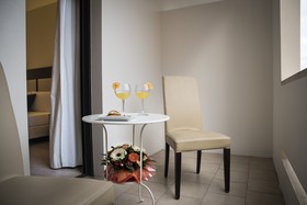 Hotel Executive Siena