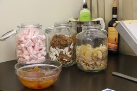 Hotel Executive Siena