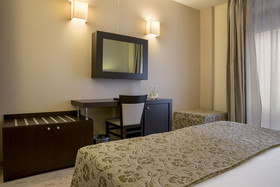 Hotel Executive Siena