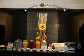 Hotel Executive Siena